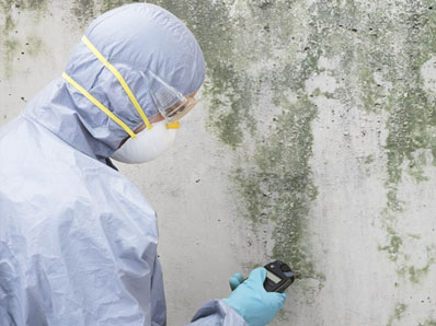 Mold Removal NYC