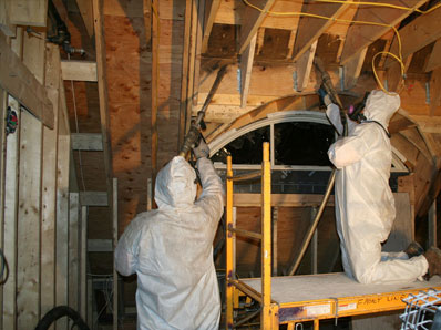 Mold Removal Long Island