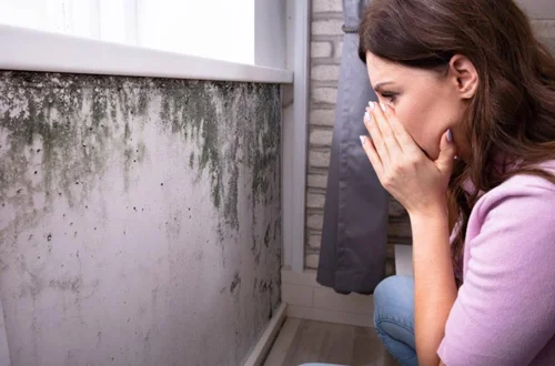 Mold removal
