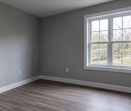 Repairs and restoration after mold removal