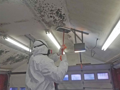 Mold Removal Westchester NY