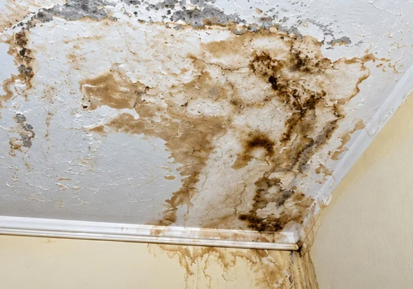Ceiling water damage cleanup NYC, Long Island, Westchester NY