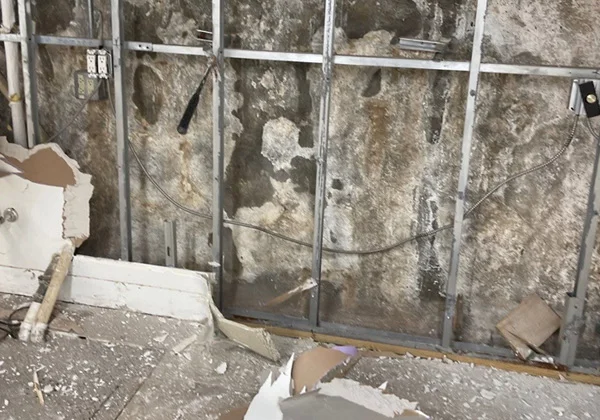 Water damage assessment