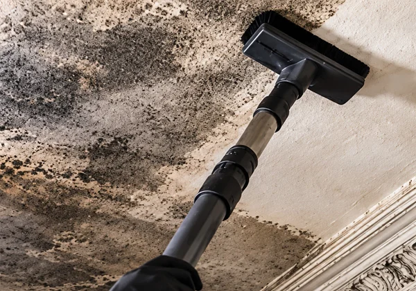 Professional assessment of fire and smoke damage
