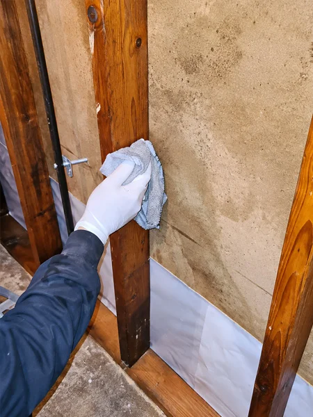 Professional mold treatment on an interior wall