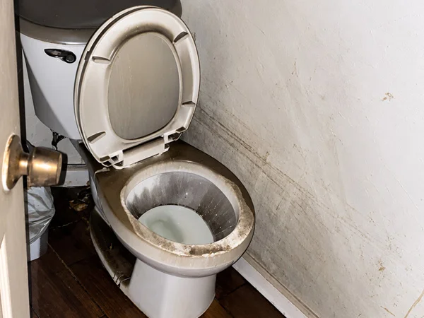 Professional sewage cleanup and wastewater extraction