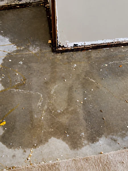 Floor and wall drying after professional sewage cleanup