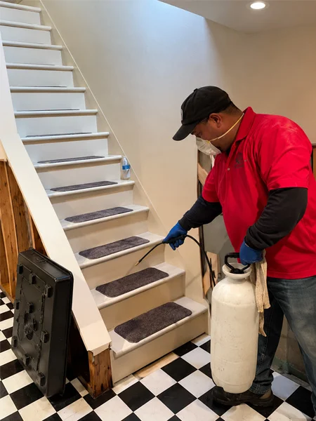 Mold remediation technician treating a residential staircase