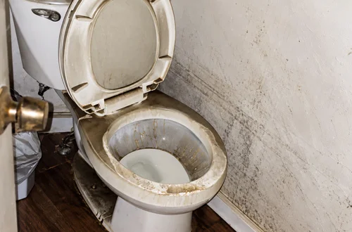 Sewage cleanup